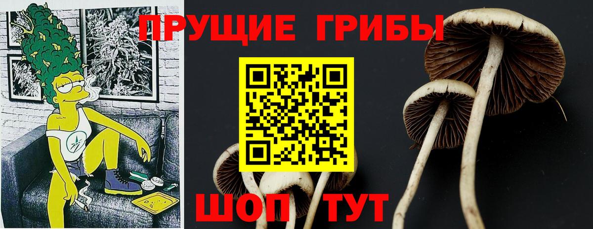 Обнинск  Галлюциногенные грибы Psilocybe  Галлюциногенные грибы Cubensis  Вход с VPN 