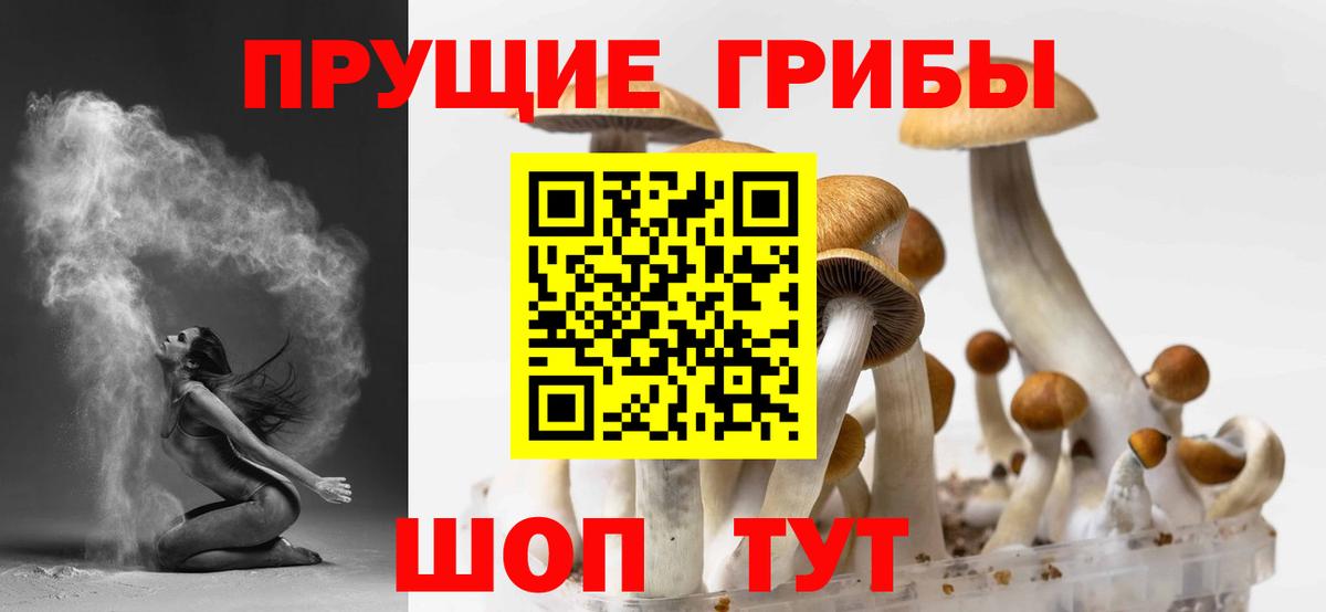 Галлюциногенные грибы прущие грибы Обнинск